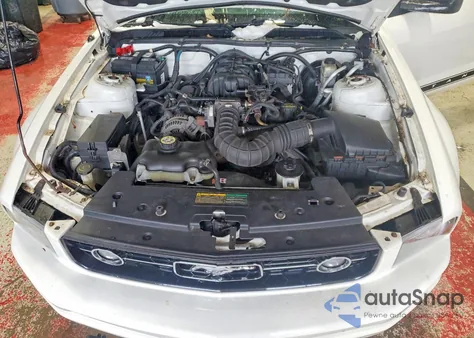 2009 Ford Mustang from USA, damaged, VIN 1ZVHT80N695116207